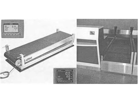 Весы неавтоматического действия для взвешивания багажа ABS 960+ 