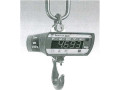 Весы крановые SCS Plus  (Фото 1)
