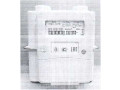 Счетчики газа диафрагменные СГД 4  (Фото 4)