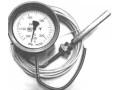 Термометры манометрические конденсационные показывающие ТКП-60С, ТКП-100С (Фото 2)